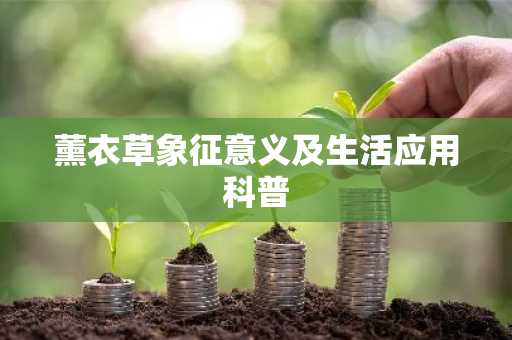 薰衣草象征意义及生活应用科普