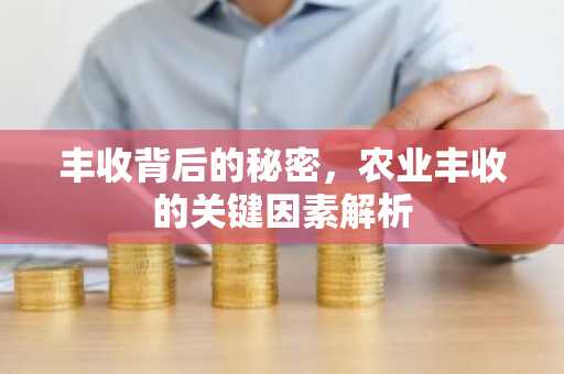 丰收背后的秘密，农业丰收的关键因素解析
